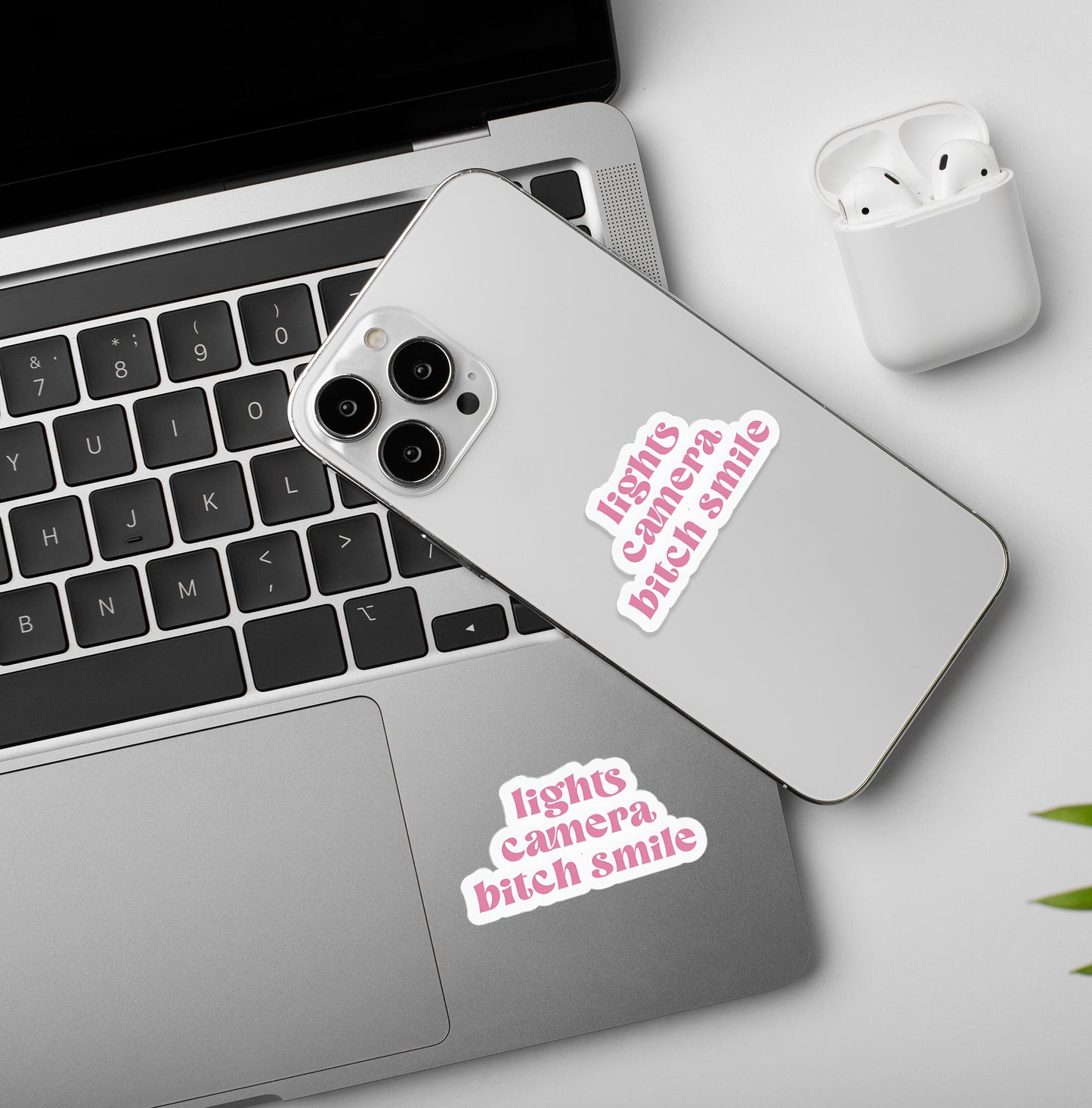 Lights, Camera, Bitch Smile - Taylor Swift Stickers