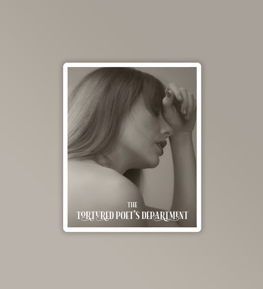 Chairman of TTDP - Taylor Swift Stickers