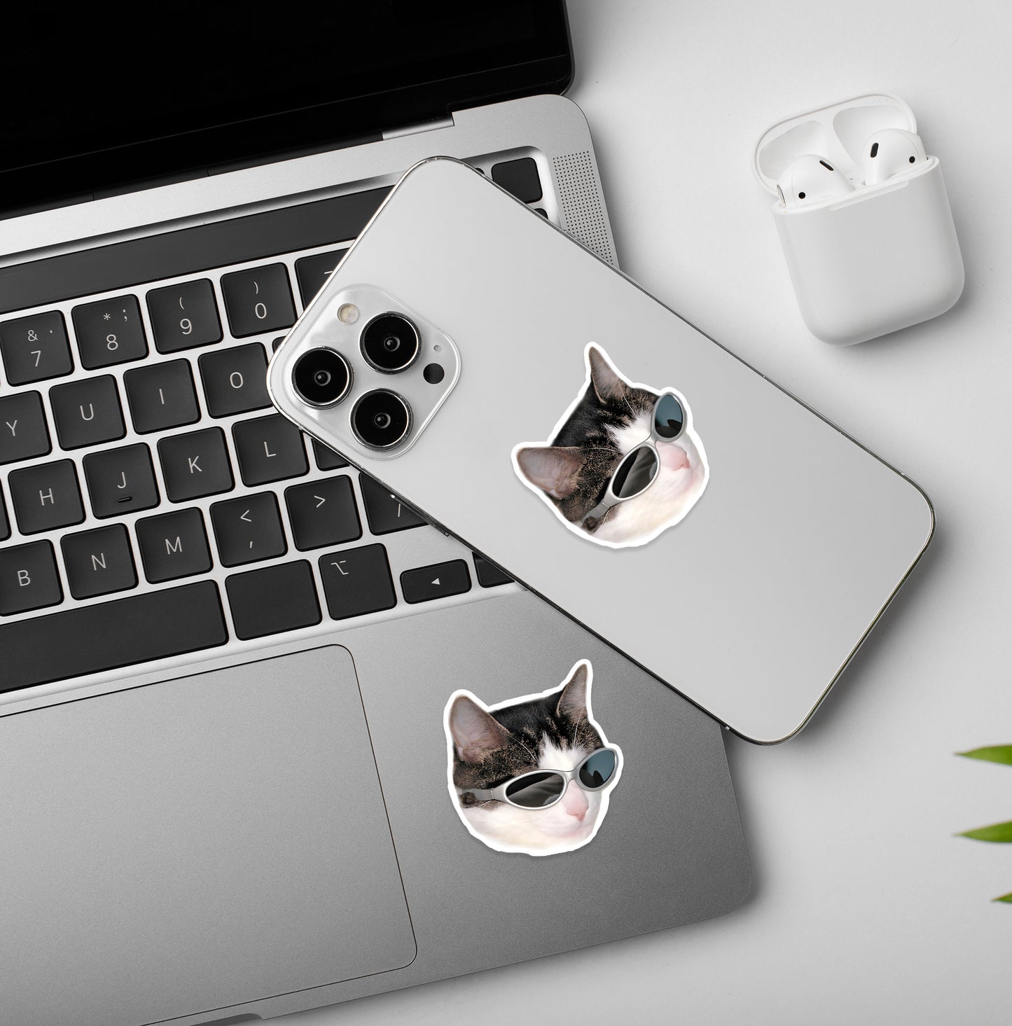 Cool Cat | Laptop & Mobile Stickers