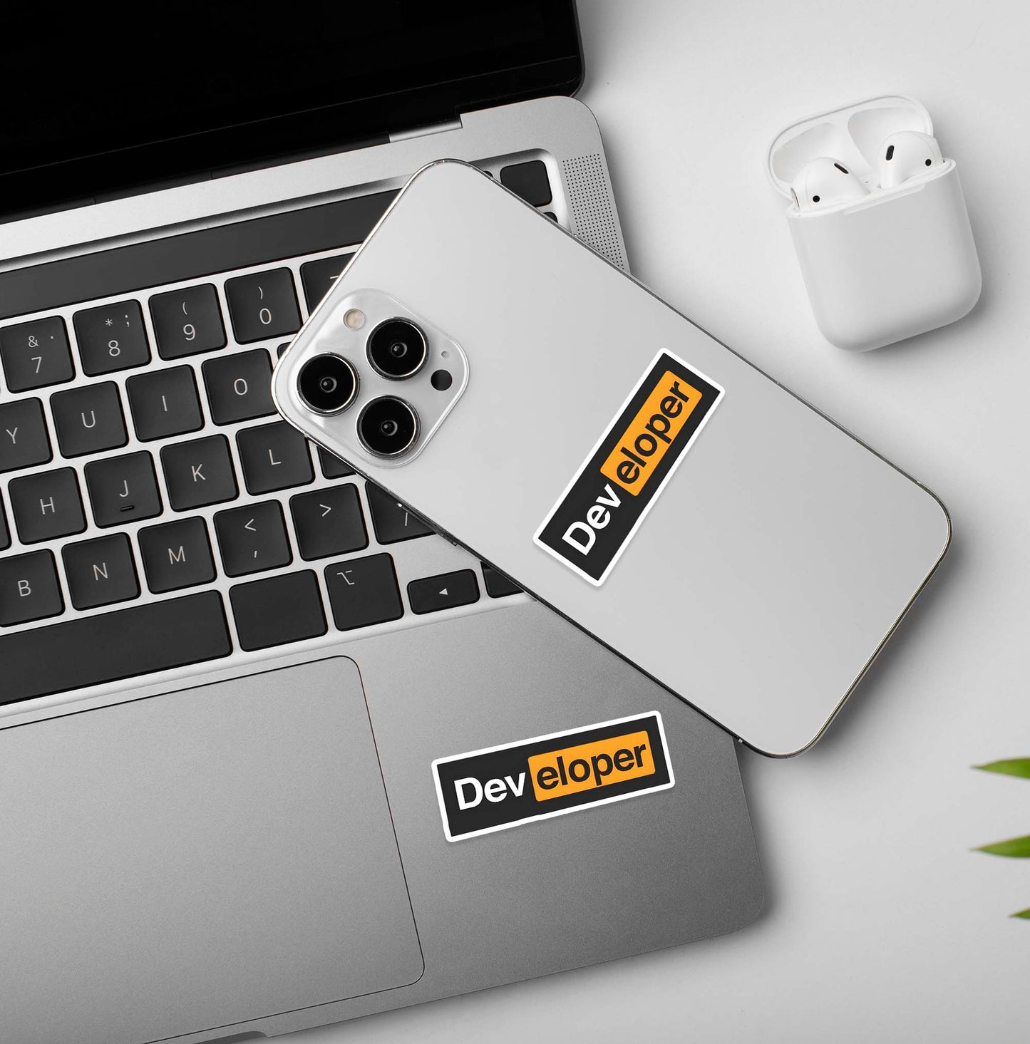 Developer Programmer - Coding Sticker