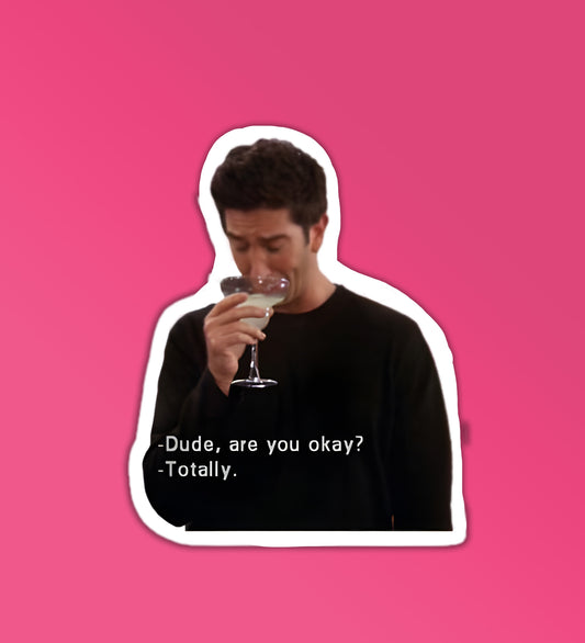 Dude Are You Okay? - Friends