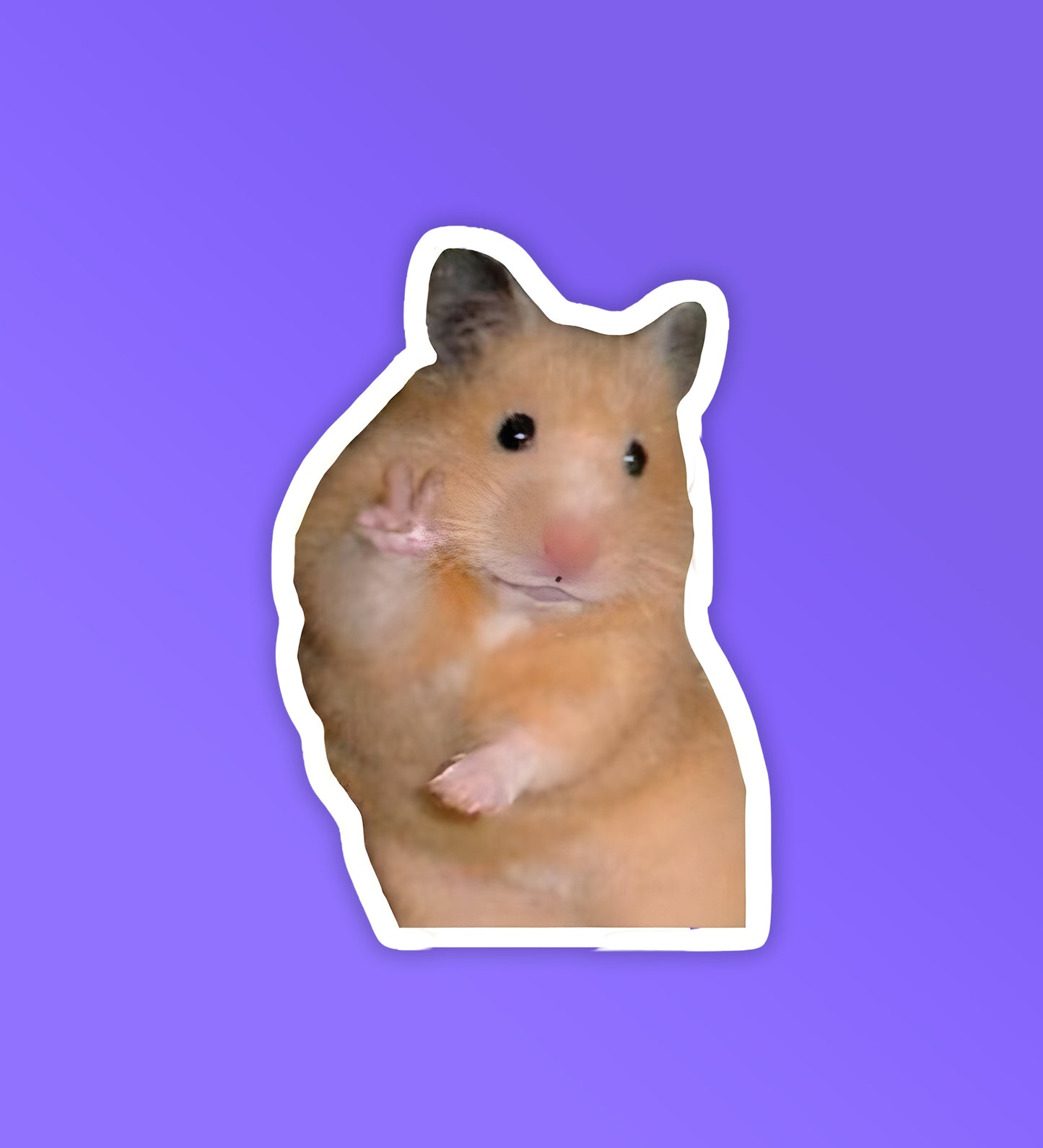 Pookie Mouse | Laptop & Mobile Stickers