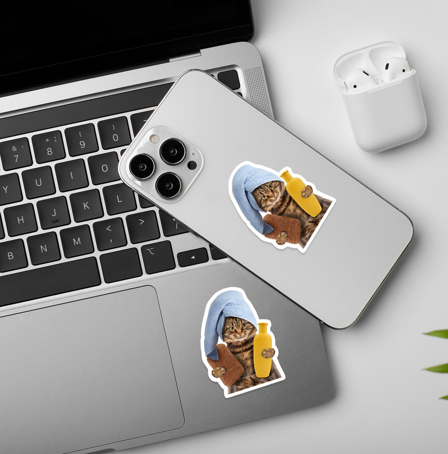 Skincare Kitty - Funny Cat Meme Laptop / Mobile Sticker