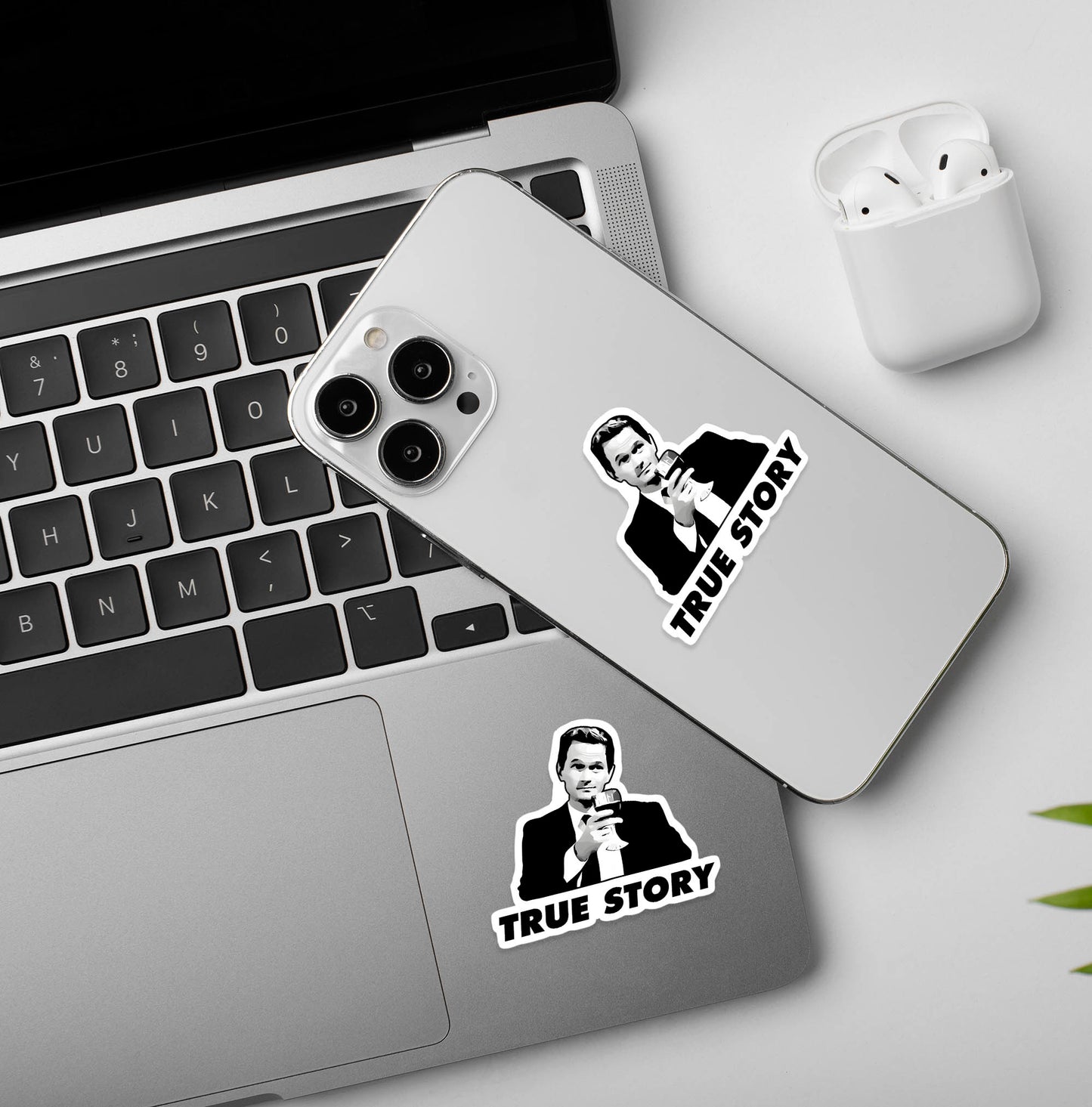 True Story HIMYM - Laptop / Mobile Sticker