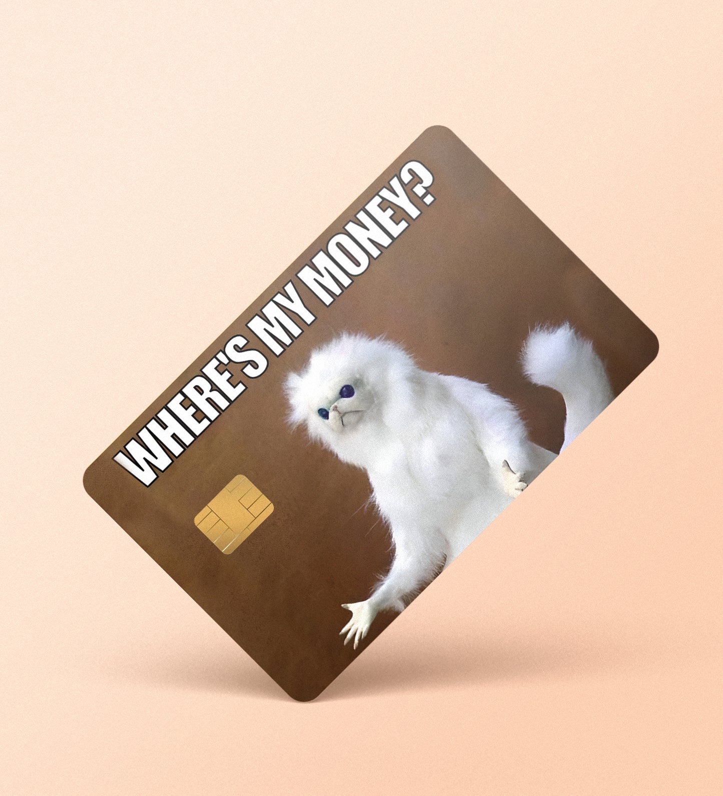 Where's My Money? - Credit / Debit Card Skin