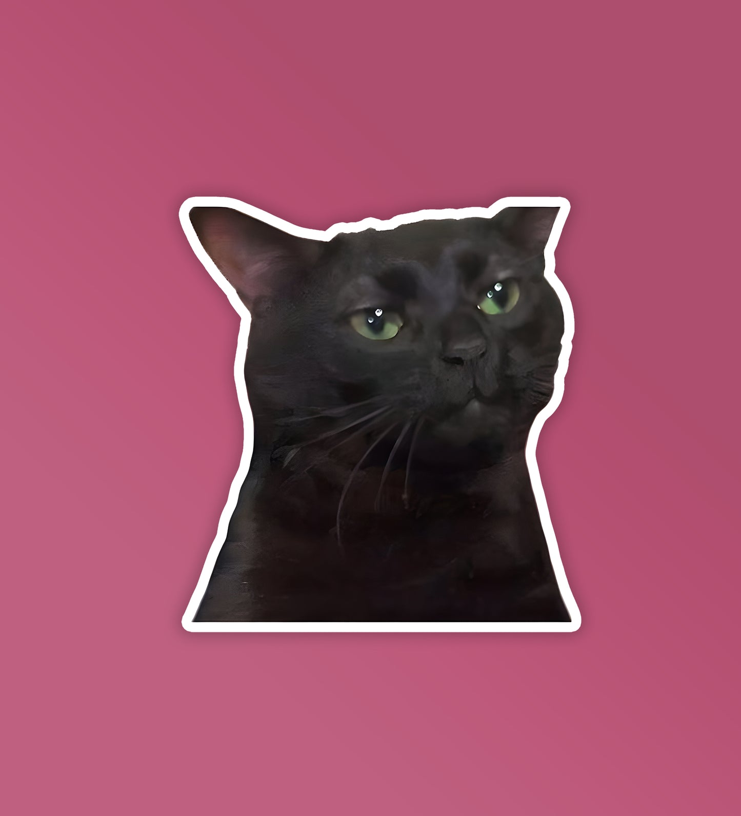 Black Cat Meme | Laptop & Mobile Stickers