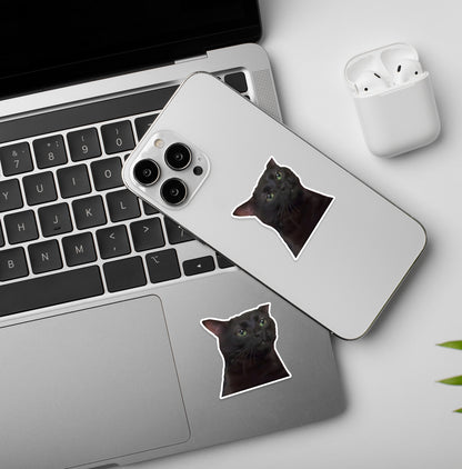 Black Cat Meme | Laptop & Mobile Stickers