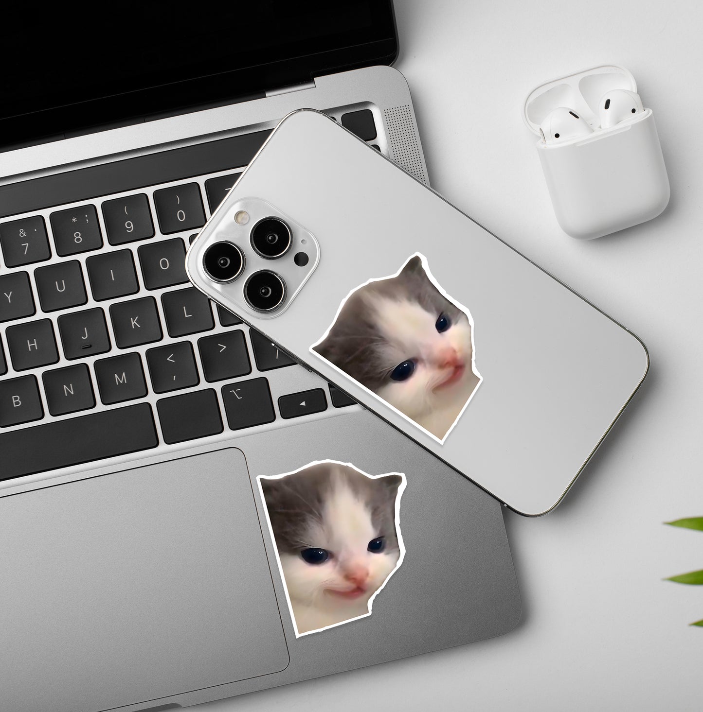 Snarky Kitty | Laptop & Mobile Stickers