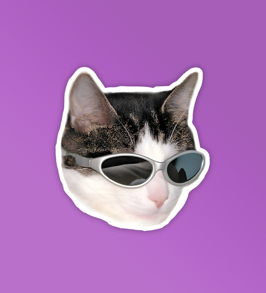 Cool Cat | Laptop & Mobile Stickers