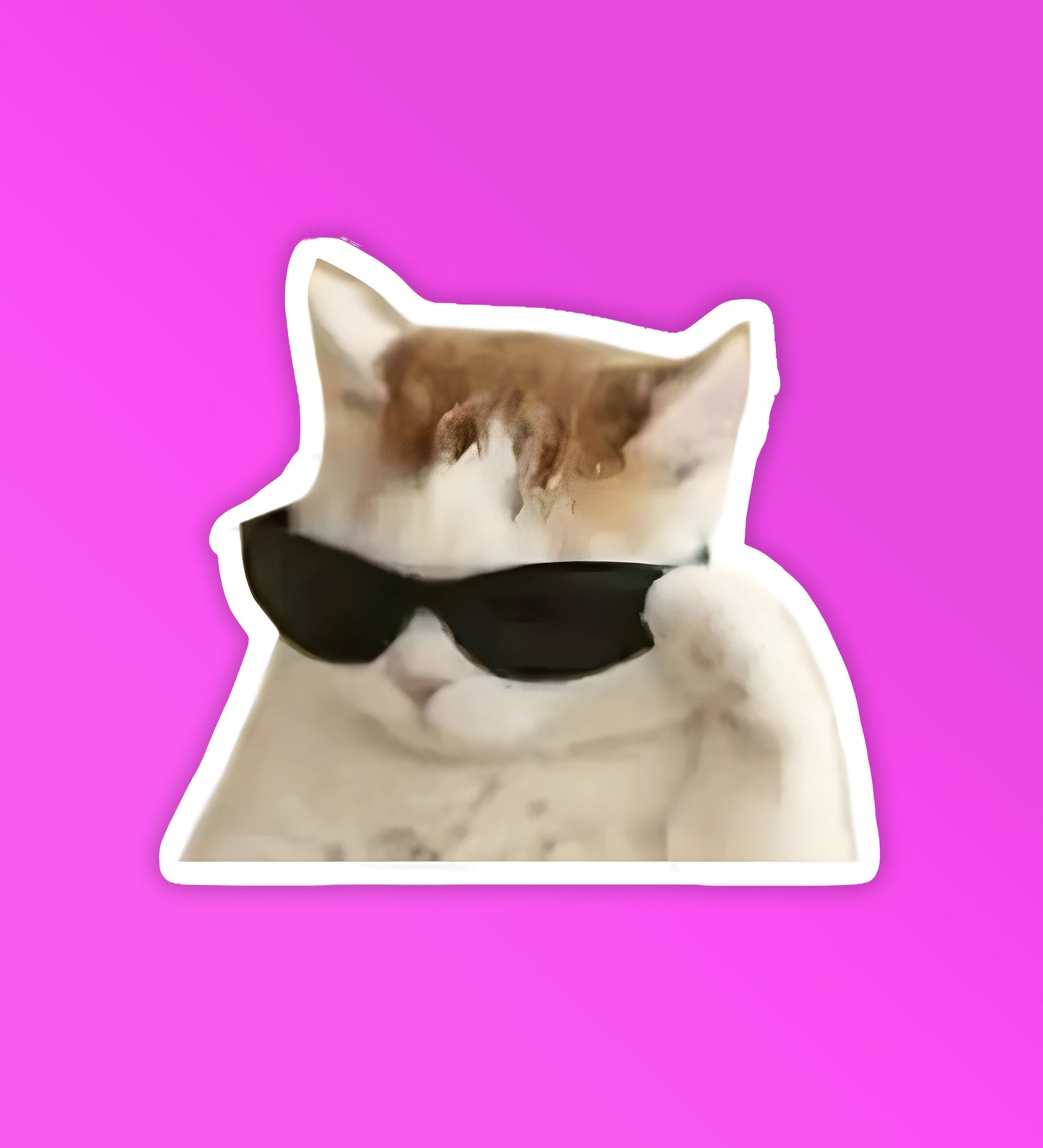 Cool Sunglasses Kitty | Laptop & Mobile Stickers