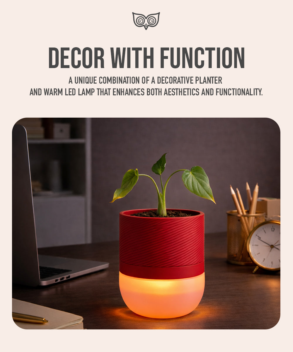Luma Leaf Lamp + Planter