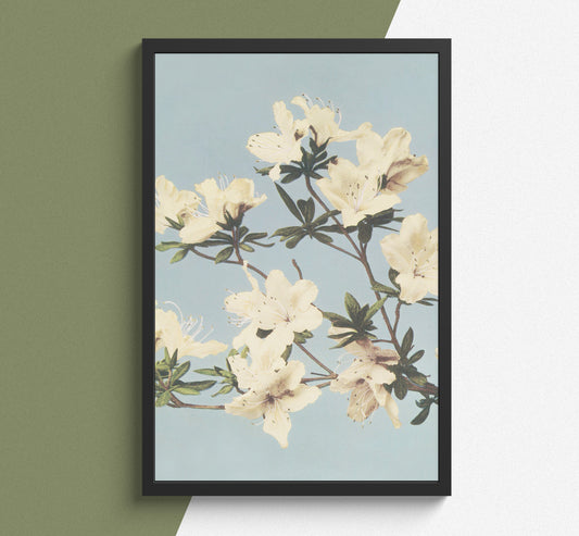 Spring In White Wall Art - Poster