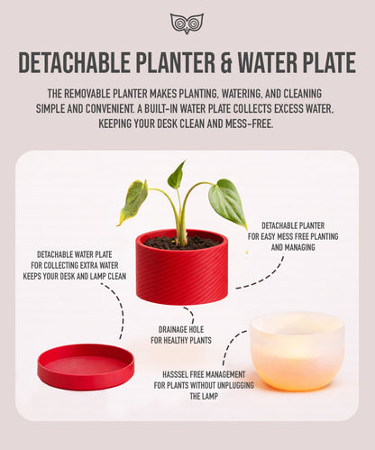 Luma Leaf Lamp + Planter