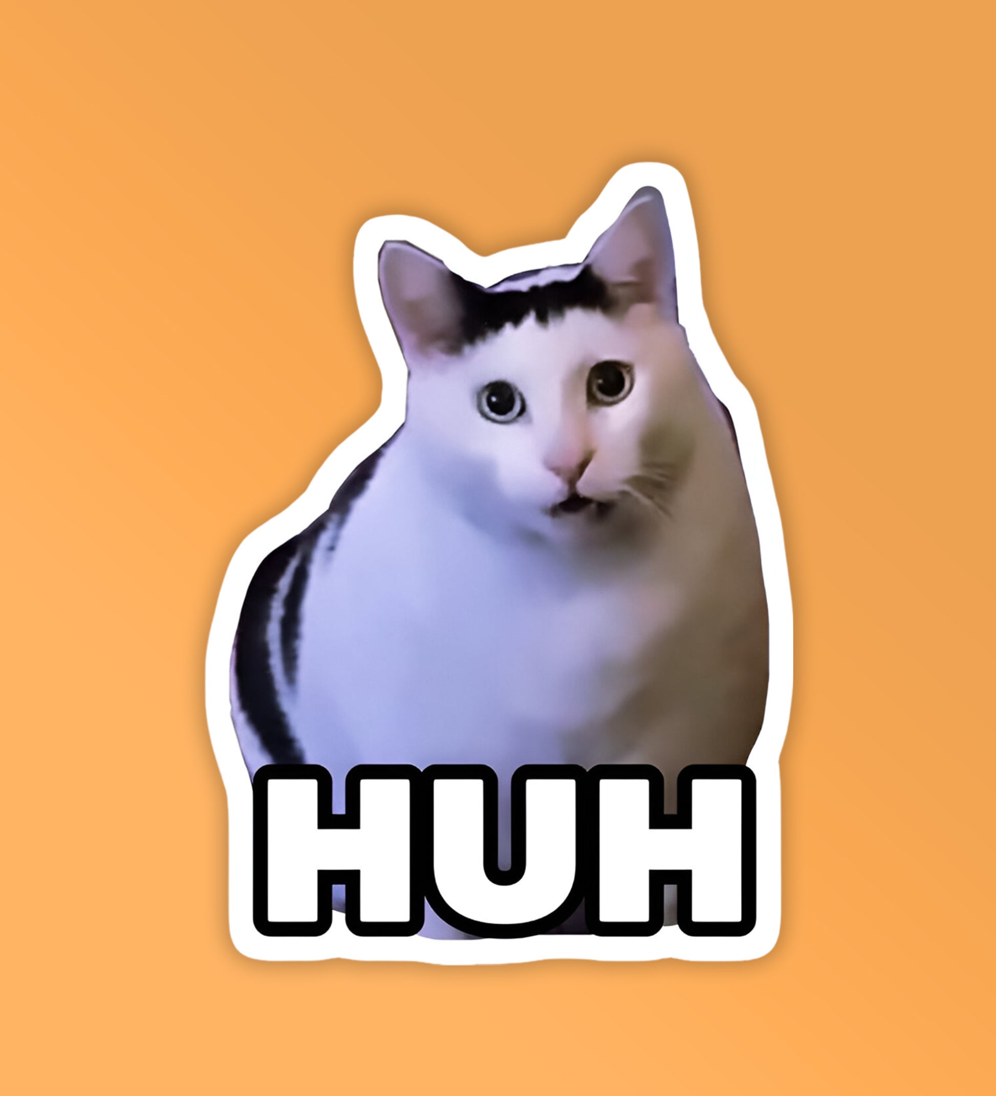 Cat meme - HuH Laptop / Mobile Sticker – Peeekaboo