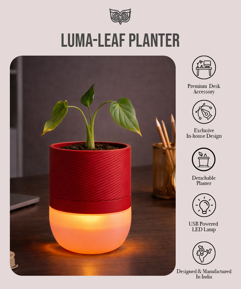 Luma Leaf Lamp + Planter