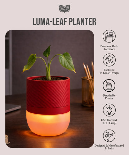 Luma Leaf Lamp + Planter