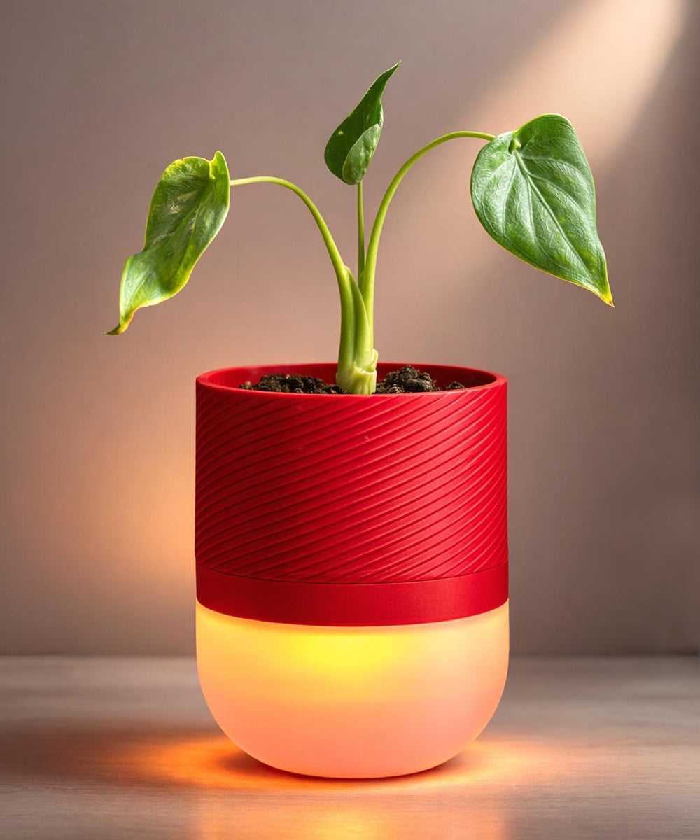Luma Leaf Lamp + Planter