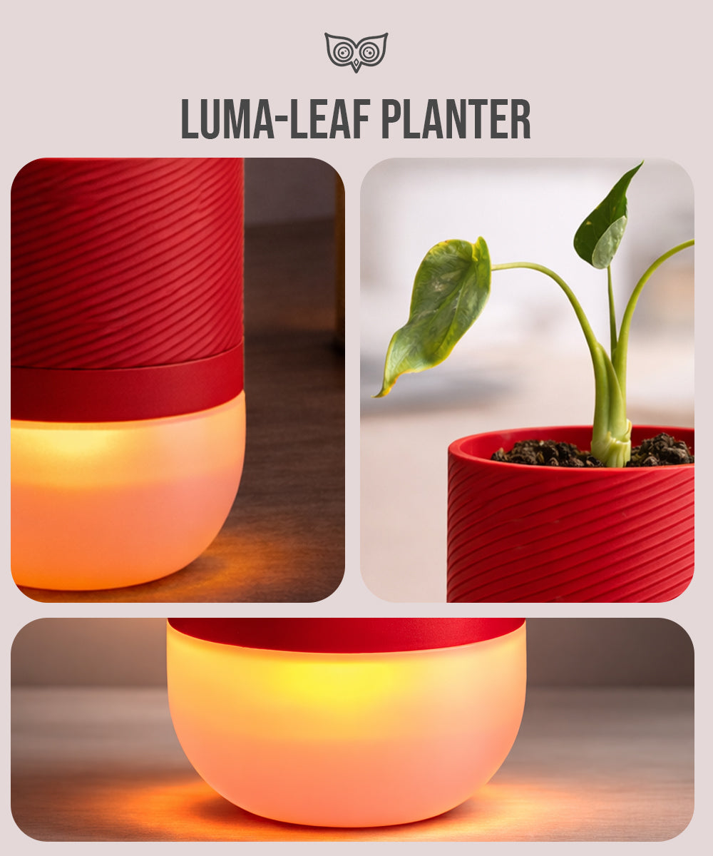 Luma Leaf Lamp + Planter