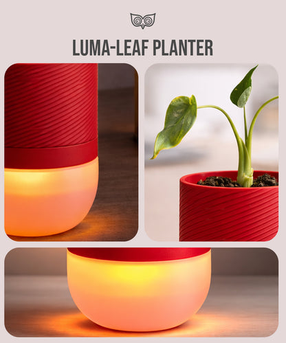 Luma Leaf Lamp + Planter