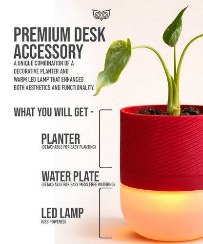 Luma Leaf Lamp + Planter