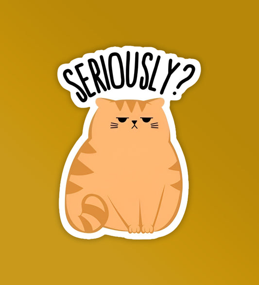 Seriously? - Vinyl Laptop / Mobile Stickers