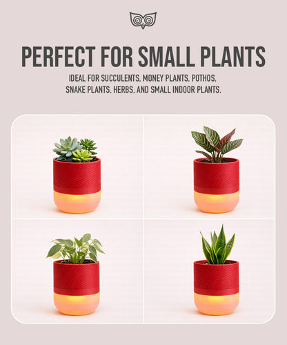 Luma Leaf Lamp + Planter